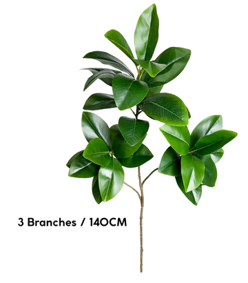 Ficus Elastica Artificiel