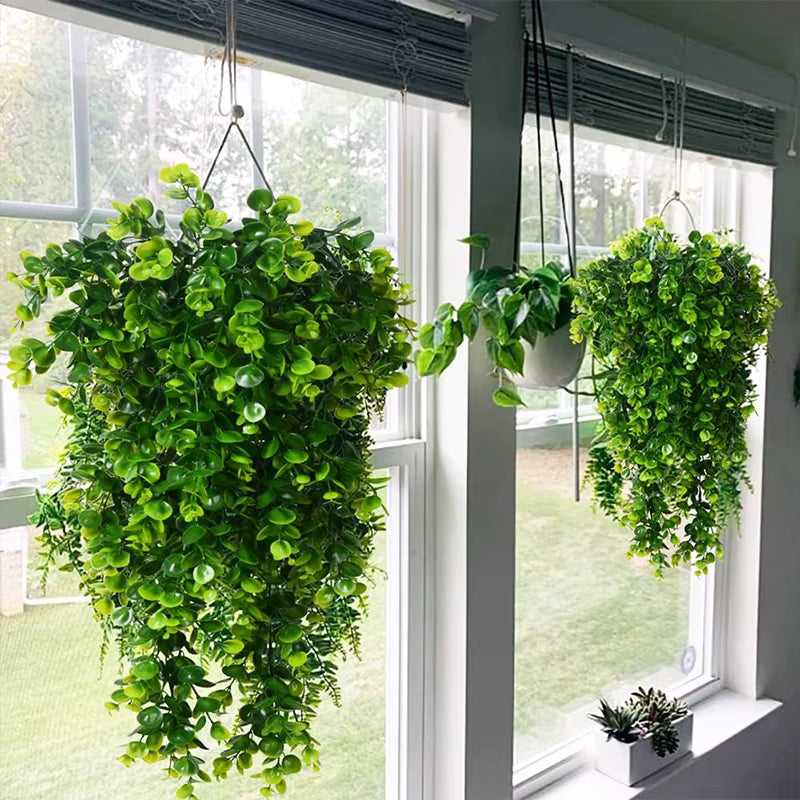 Plante Buisson Luxuriant