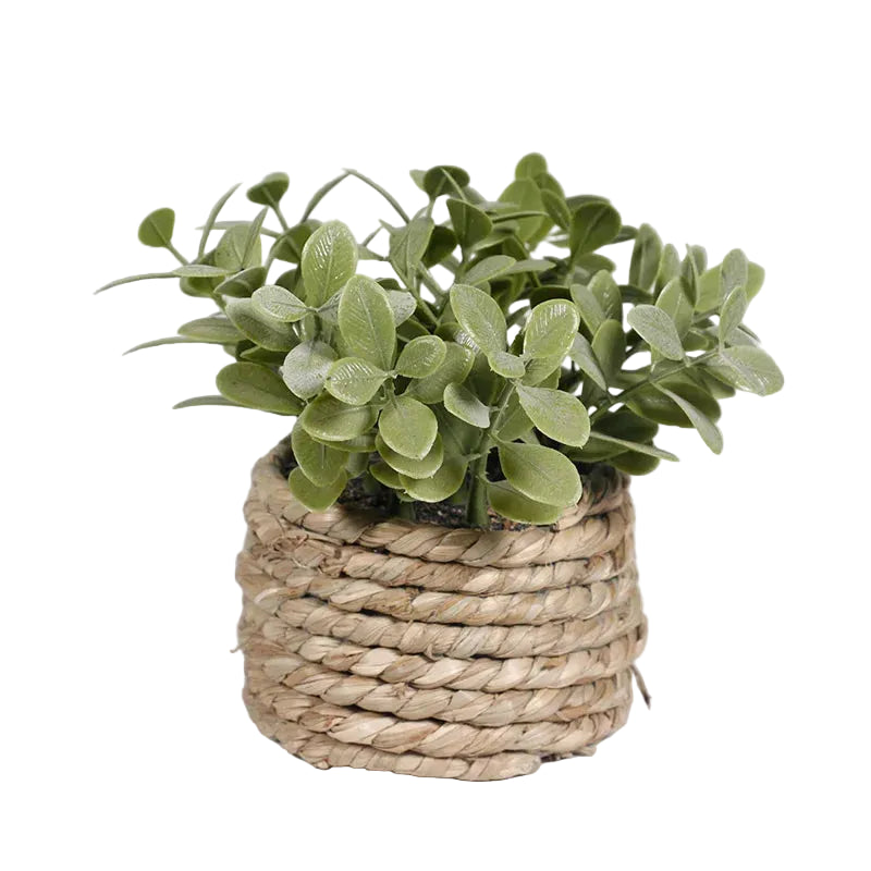 Mini-Pot Déco Tressé