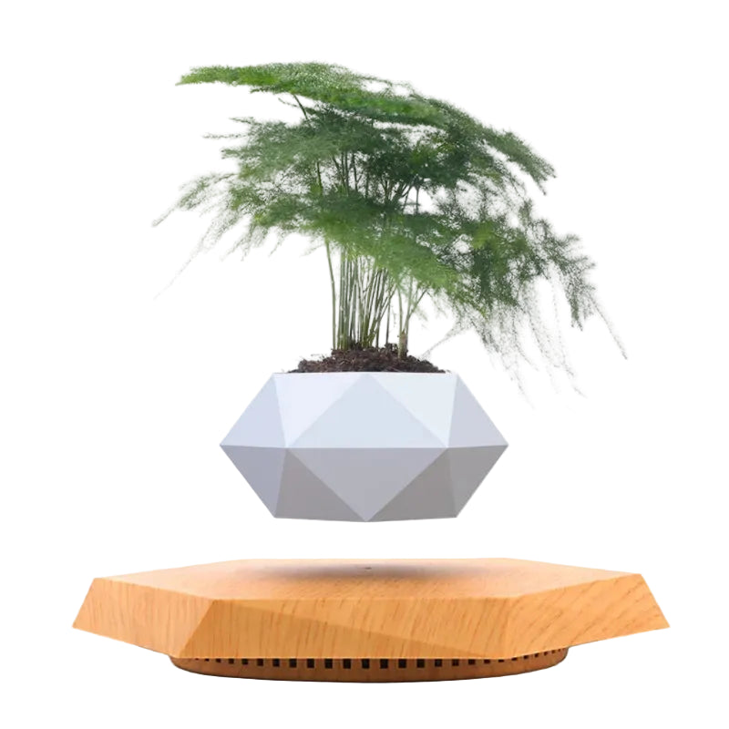 Pot de Fleur Lévitant Magnétique