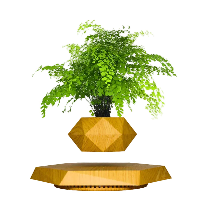 Pot de Fleur Lévitant Magnétique