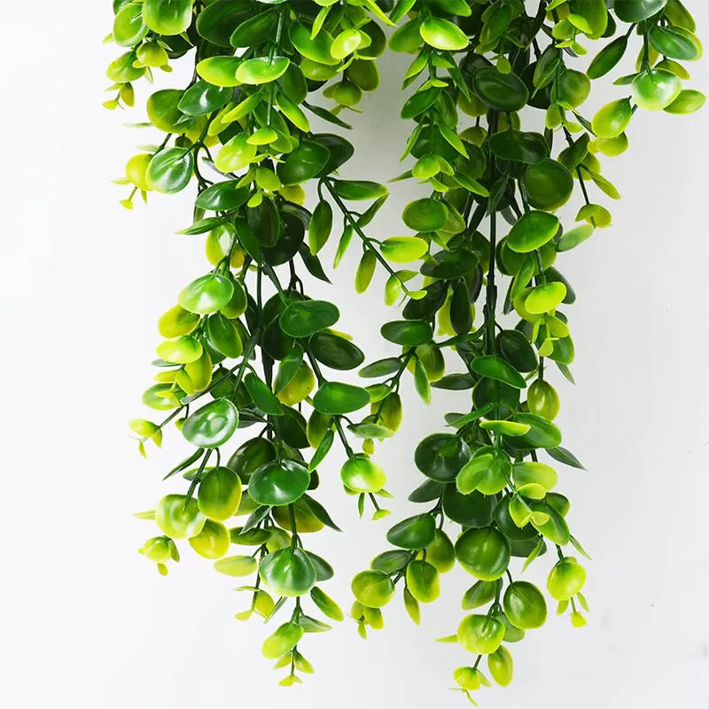 Plante Buisson Luxuriant
