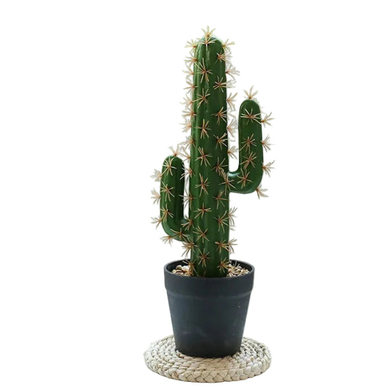 Cactus Cierge Artificiel