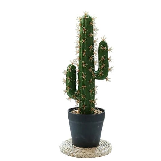 Cactus Cierge Artificiel