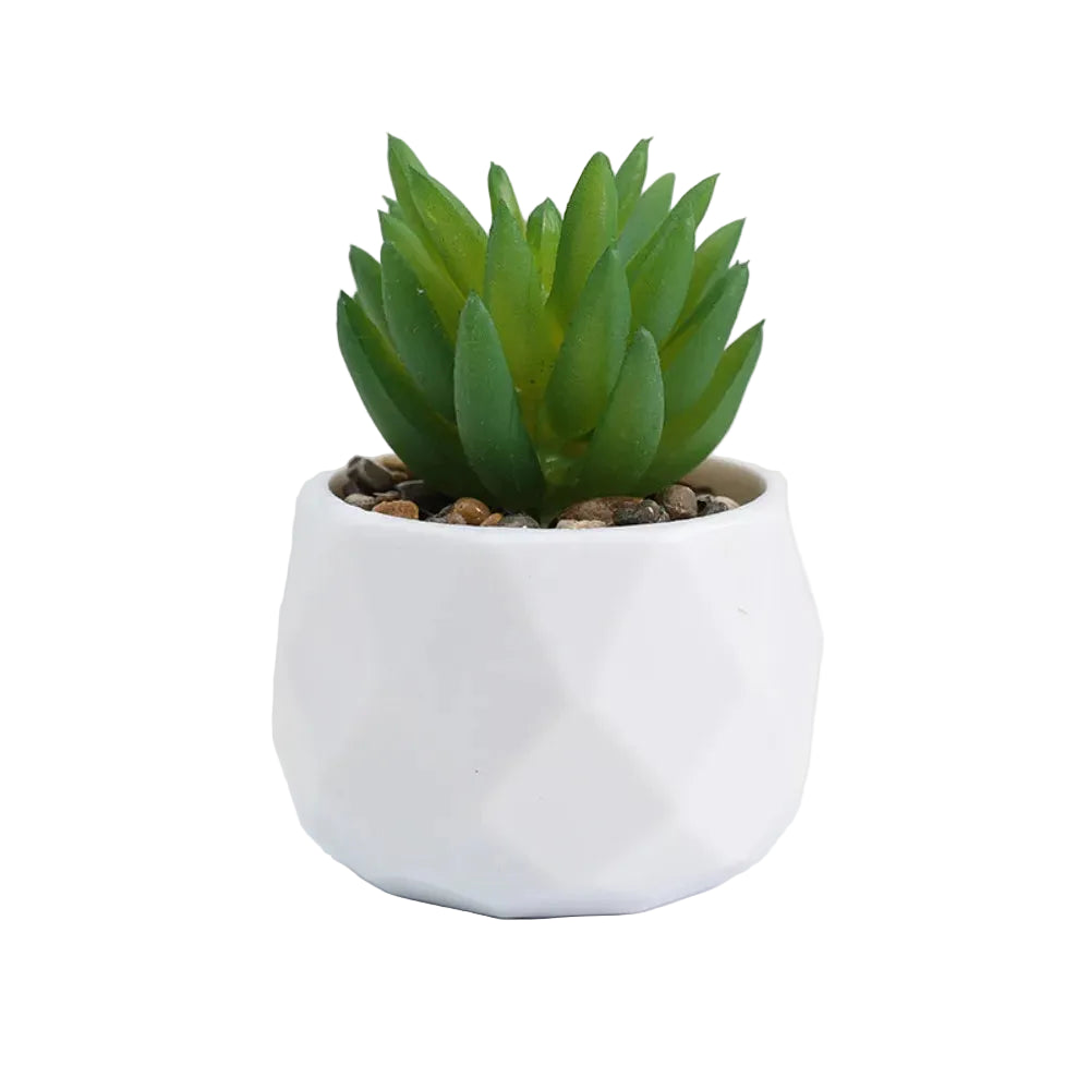 Mini-Succulente Artificielle