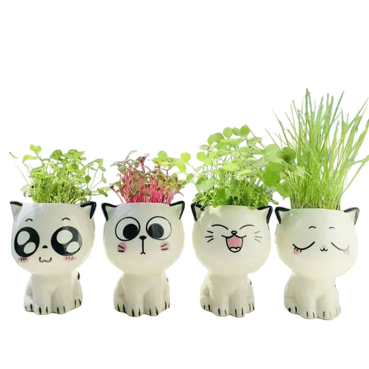 Mini Pot Déco "Têtes de Chats Mignonnes"