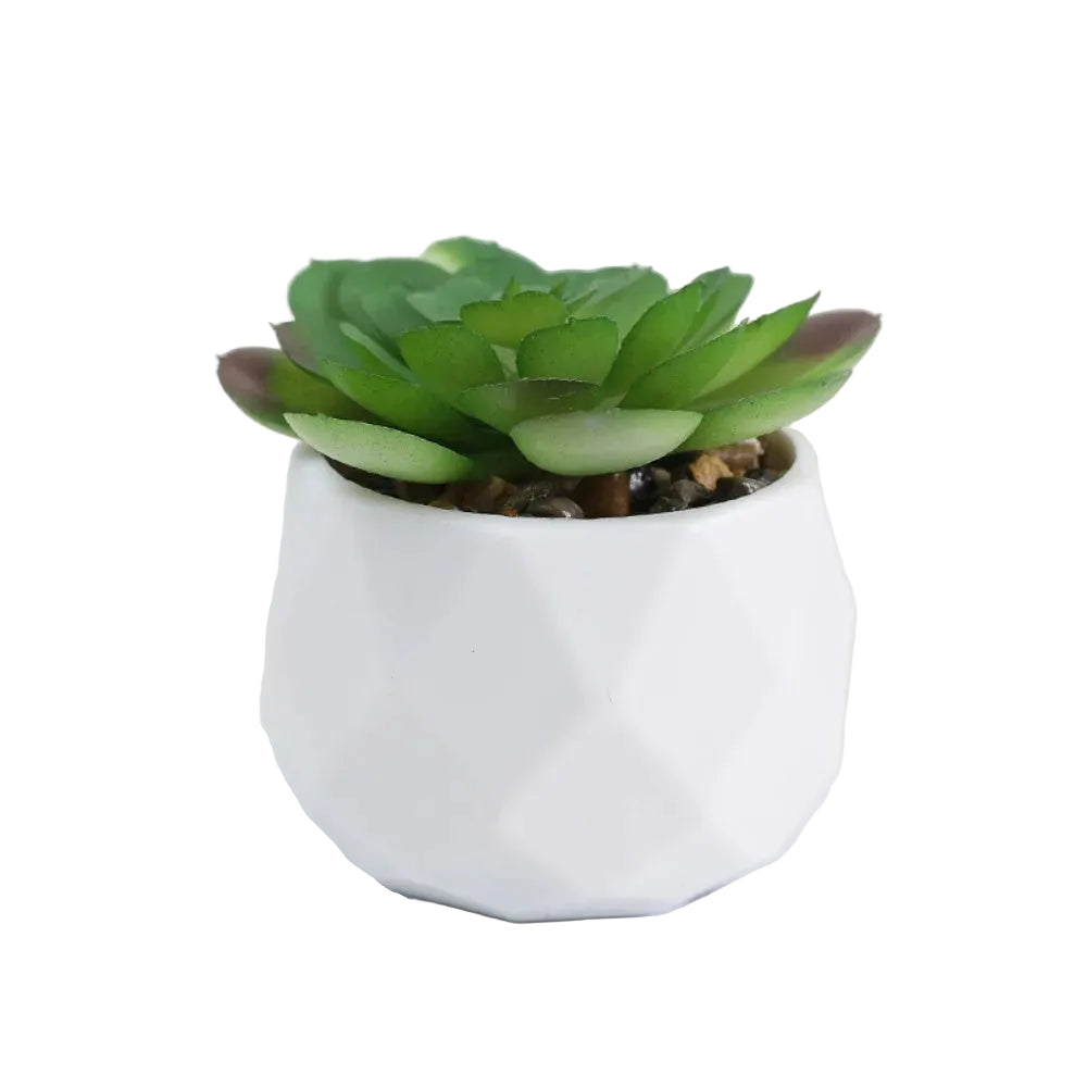 Mini-Succulente Artificielle
