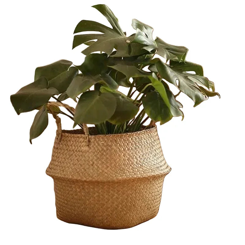 Cache-Pots en Fibres Naturelles