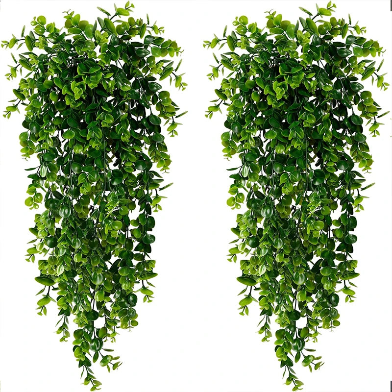 Plante Buisson Luxuriant