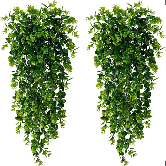 Plante Buisson Luxuriant