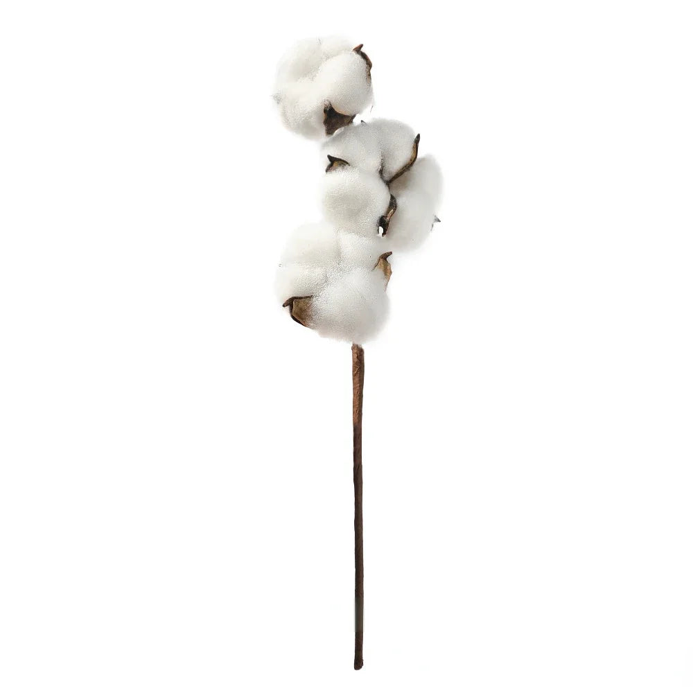 Fleur de Coton Décorative