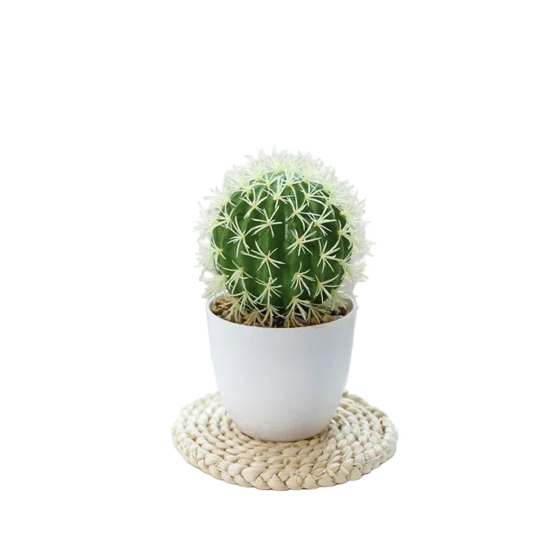 Cactus Artificiel de Table