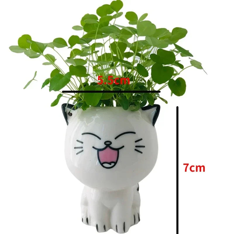 Mini Pot Déco "Têtes de Chats Mignonnes"