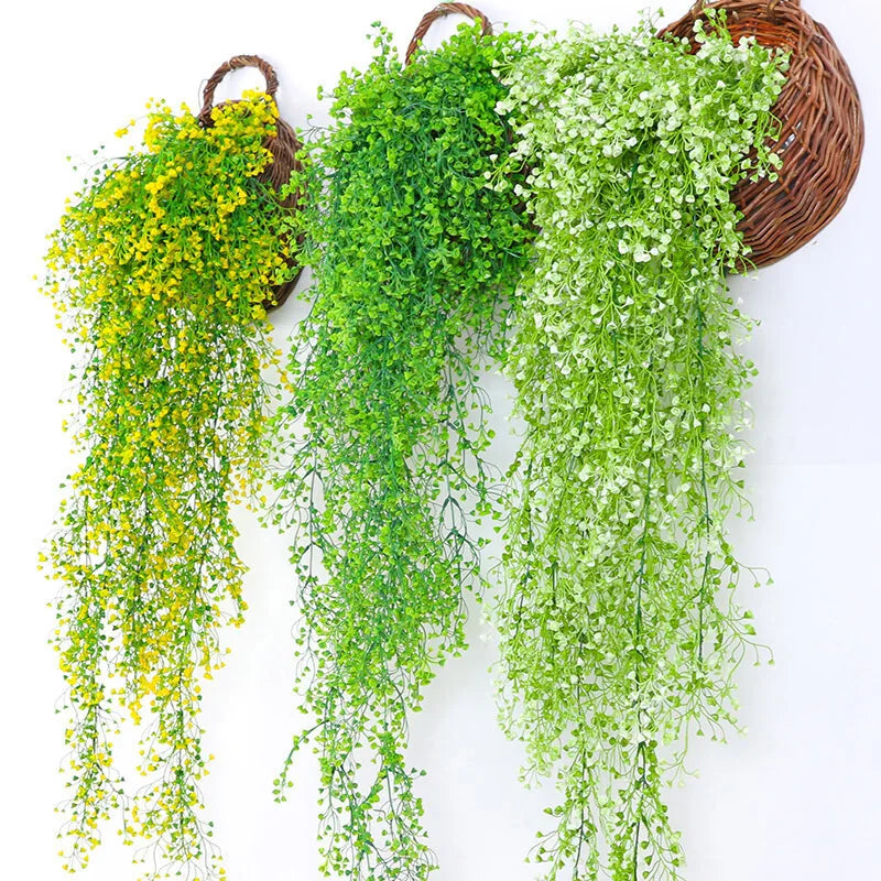 Gypsophile Feuillage Aérien