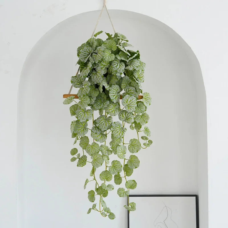 Plante Feuillage Nerveux