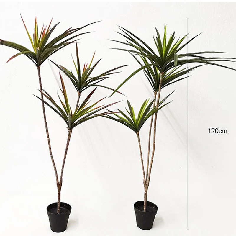 Dracaena Marginata Artificiel