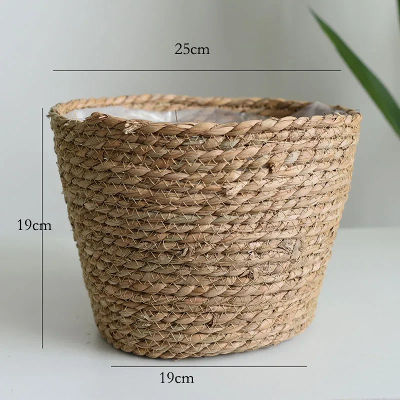 Handwoven seagrass plant basket, natural color, 25x19x19 cm, on white surface