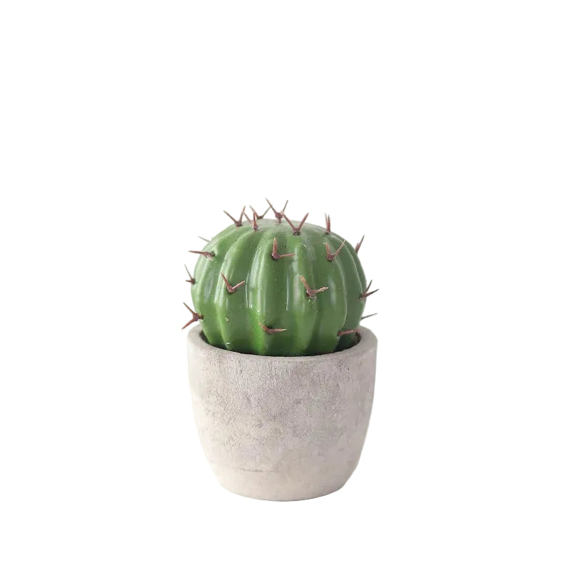 Mini Cactus Artificiels