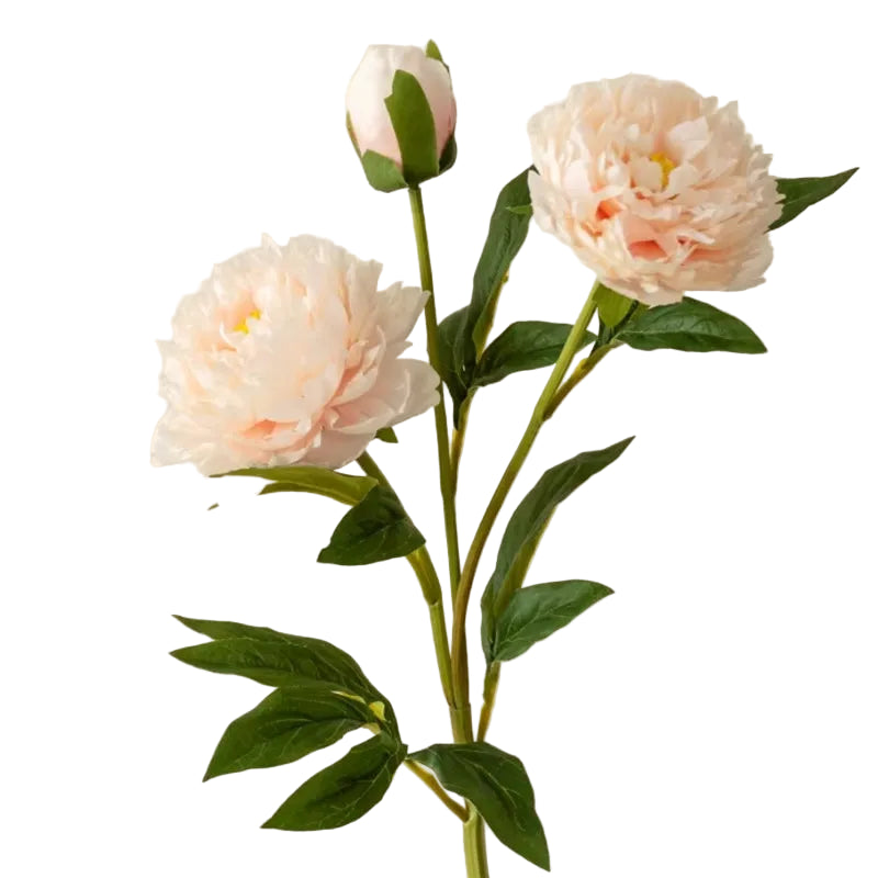 Tige de Pivoine Artificielle