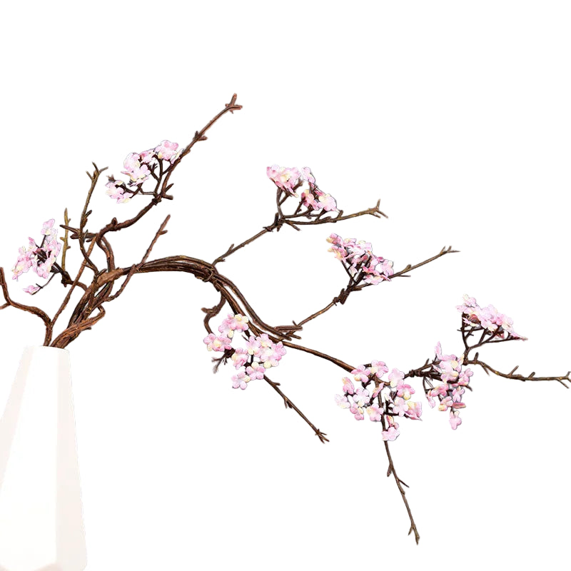 Branche de Prunier Japonaise