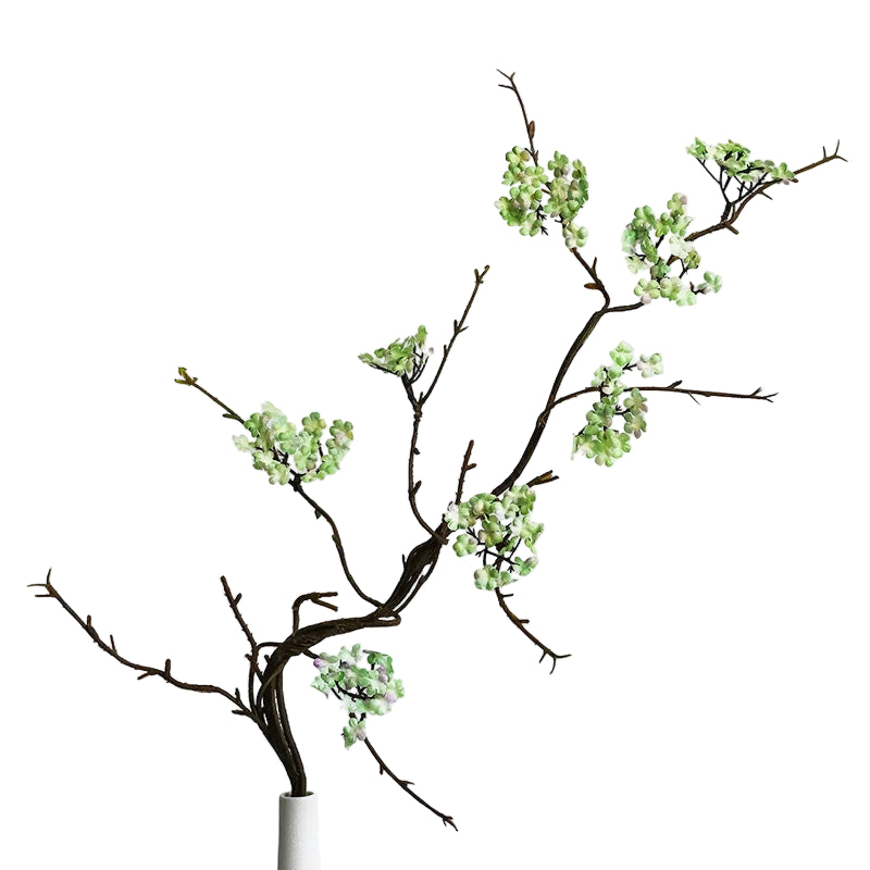 Branche de Prunier Japonaise