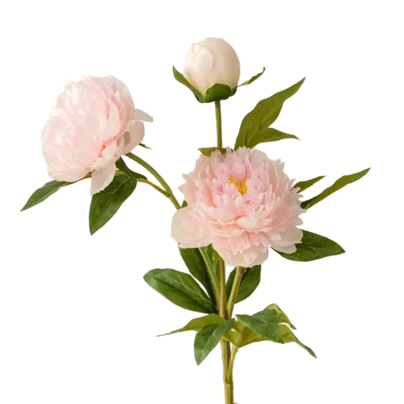Tige de Pivoine Artificielle