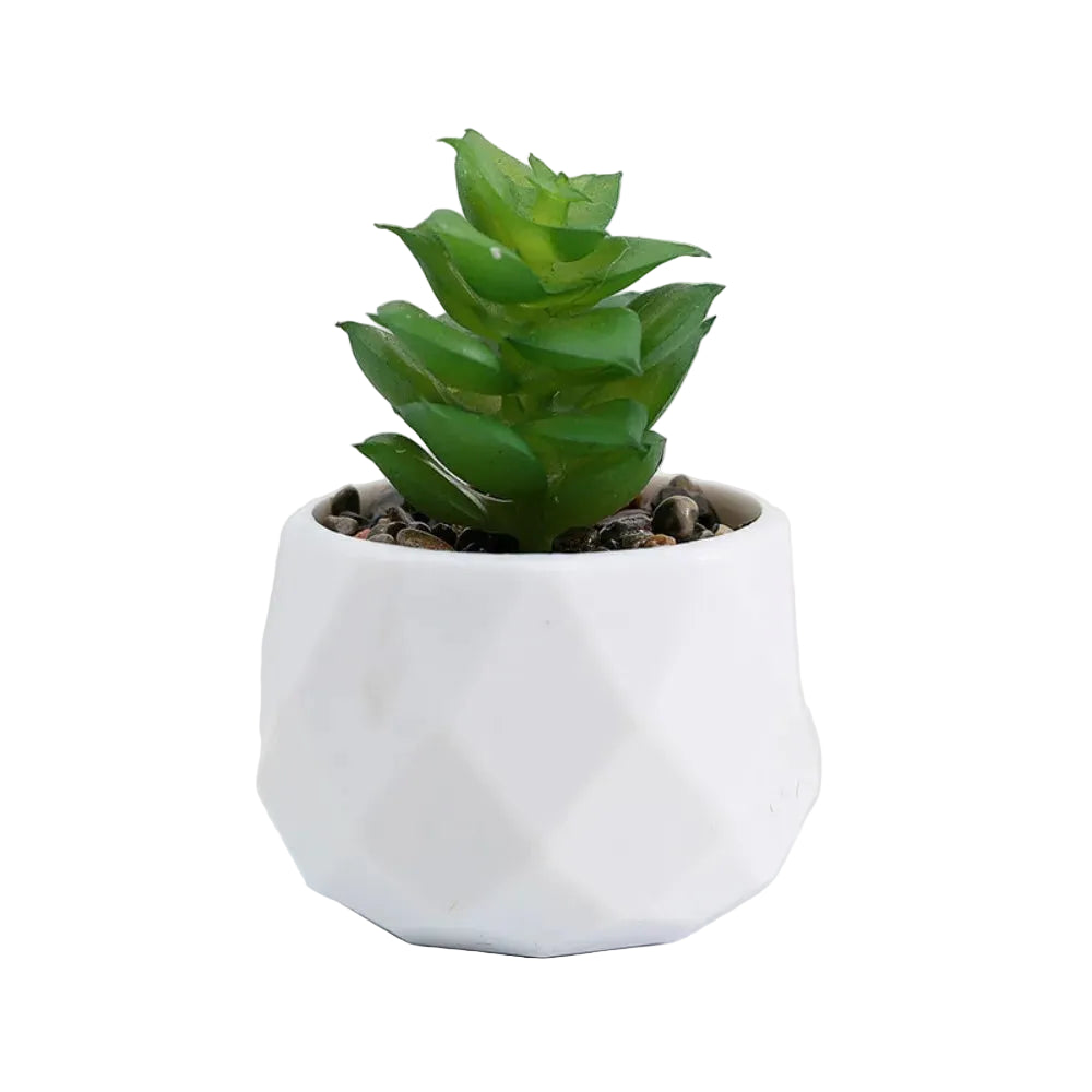 Mini-Succulente Artificielle