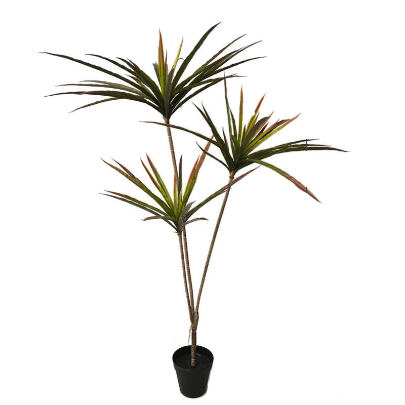 Dracaena Marginata Artificiel