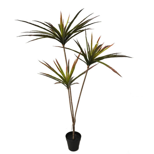 Dracaena Marginata Artificiel