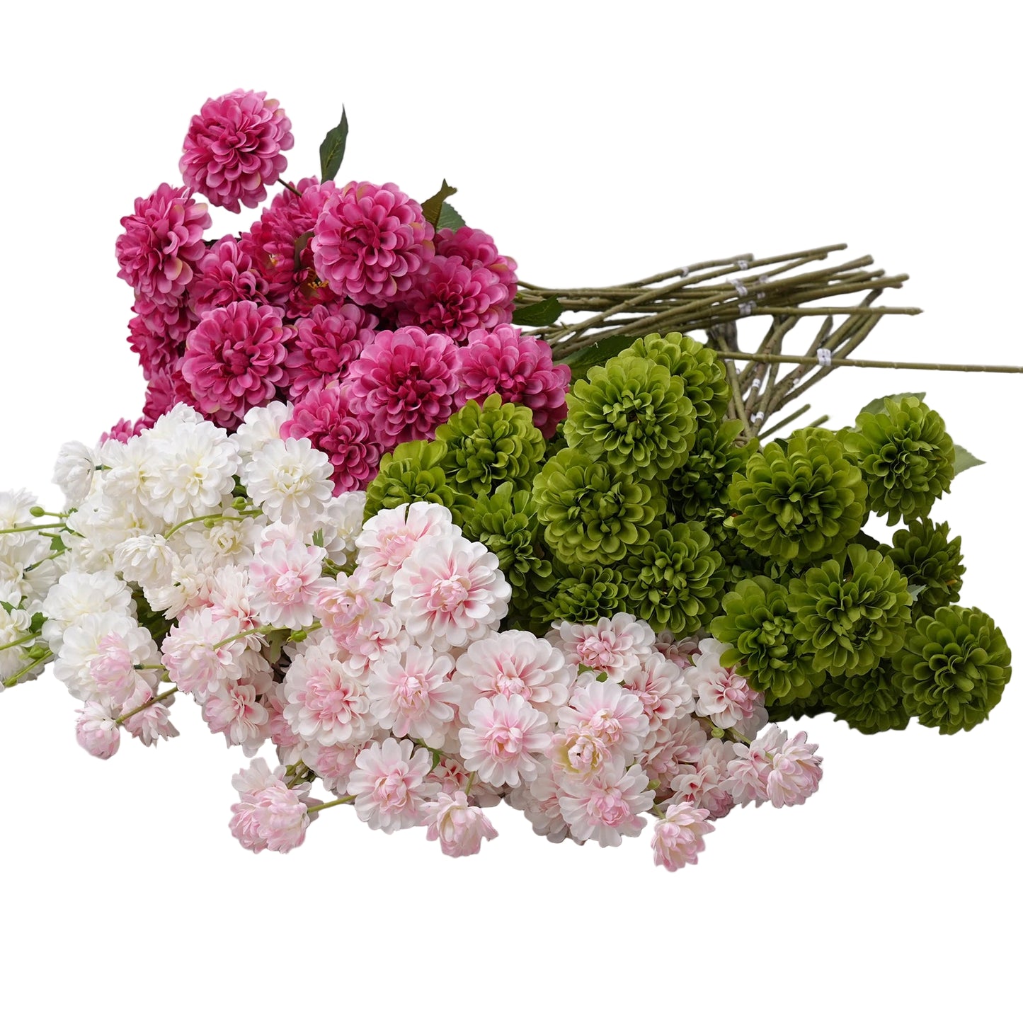 Tige de Dahlia/Chrysanthème Pompon