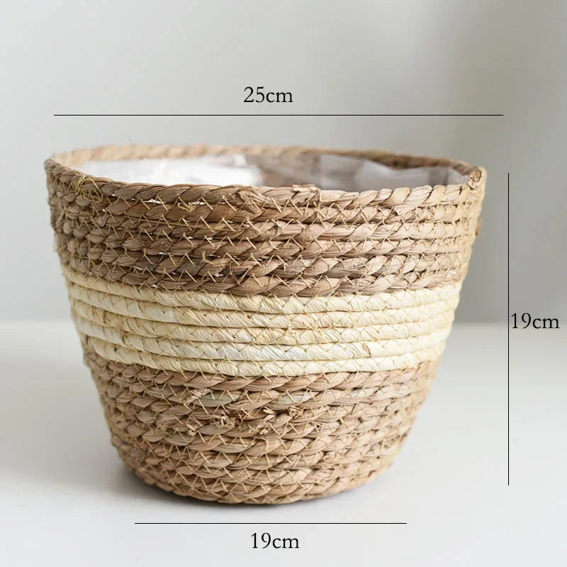 Natural woven seagrass plant basket with beige stripes, 25cm wide and 19cm tall