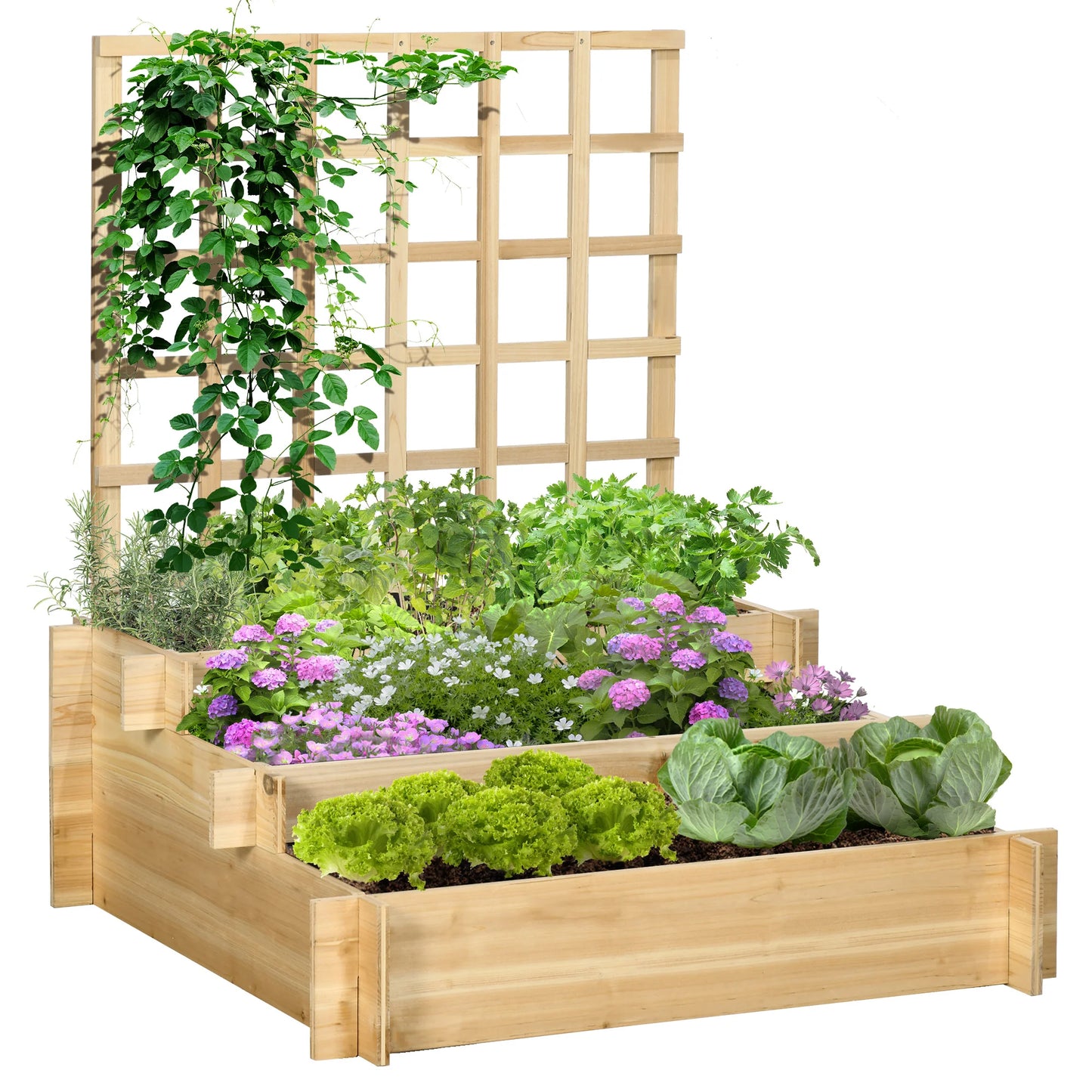 Jardinière Surélevée Avec Treillis