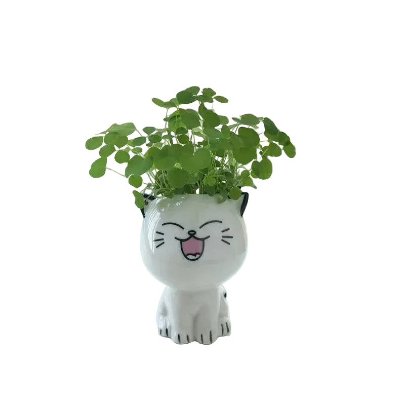 Mini Pot Déco "Têtes de Chats Mignonnes"