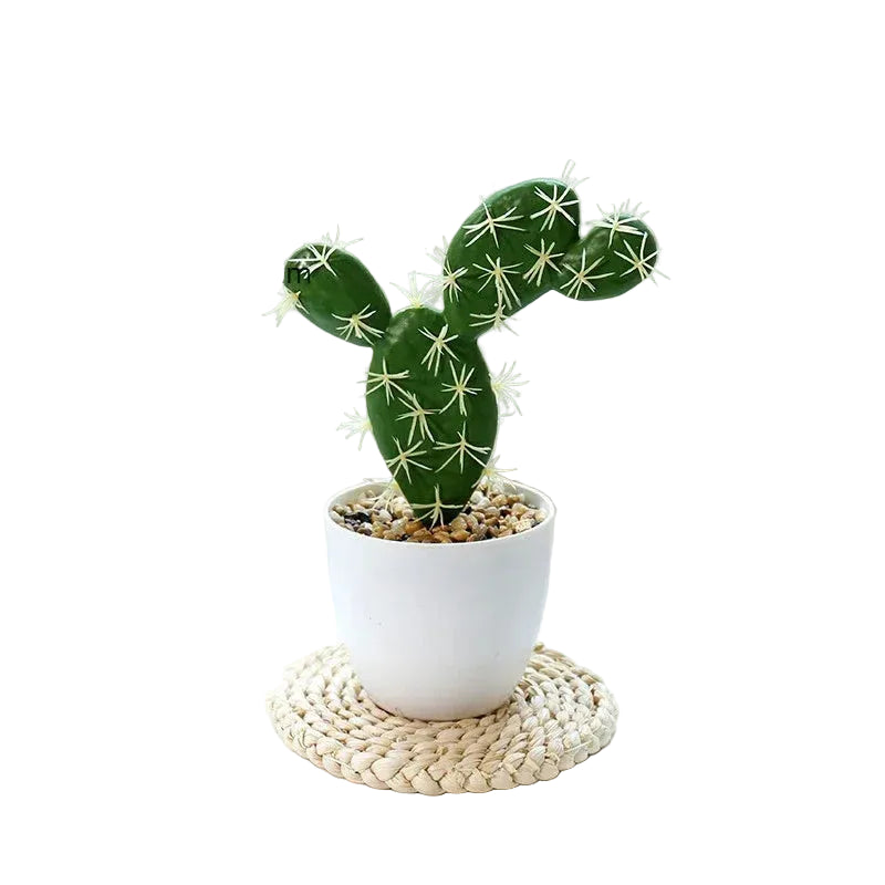 Cactus Artificiel de Table