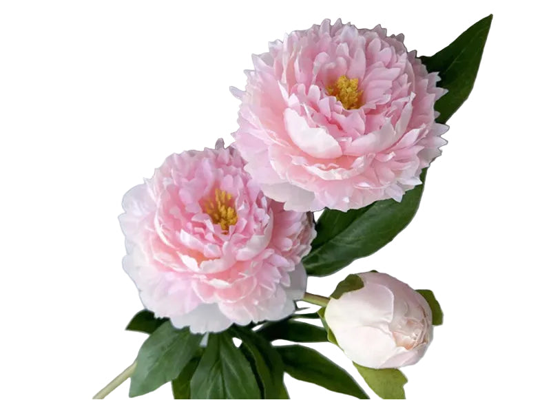 Tige de Pivoine Artificielle