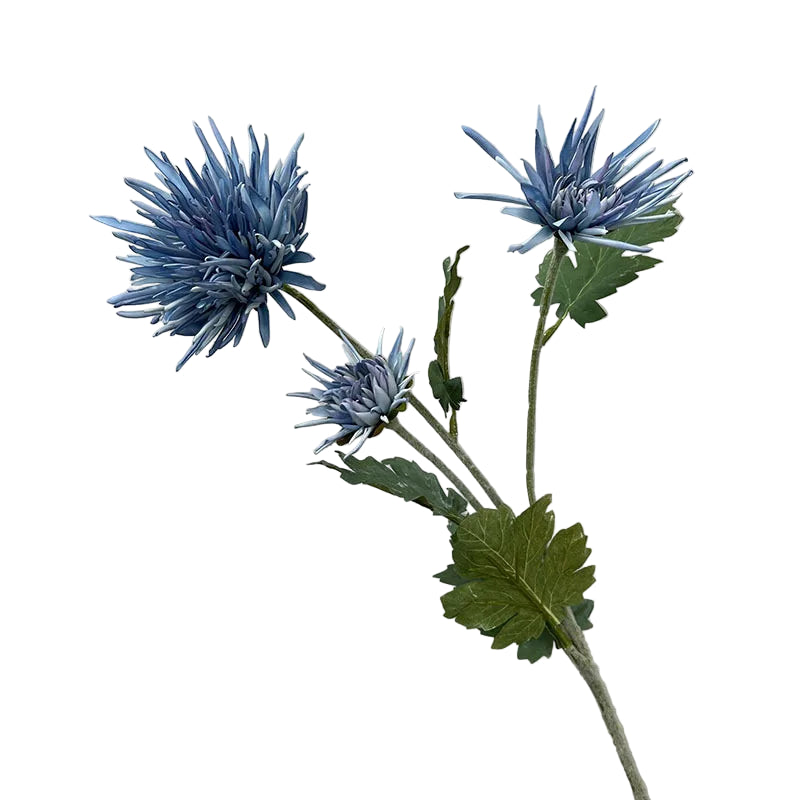 Tige de Chrysanthème "Araignée"