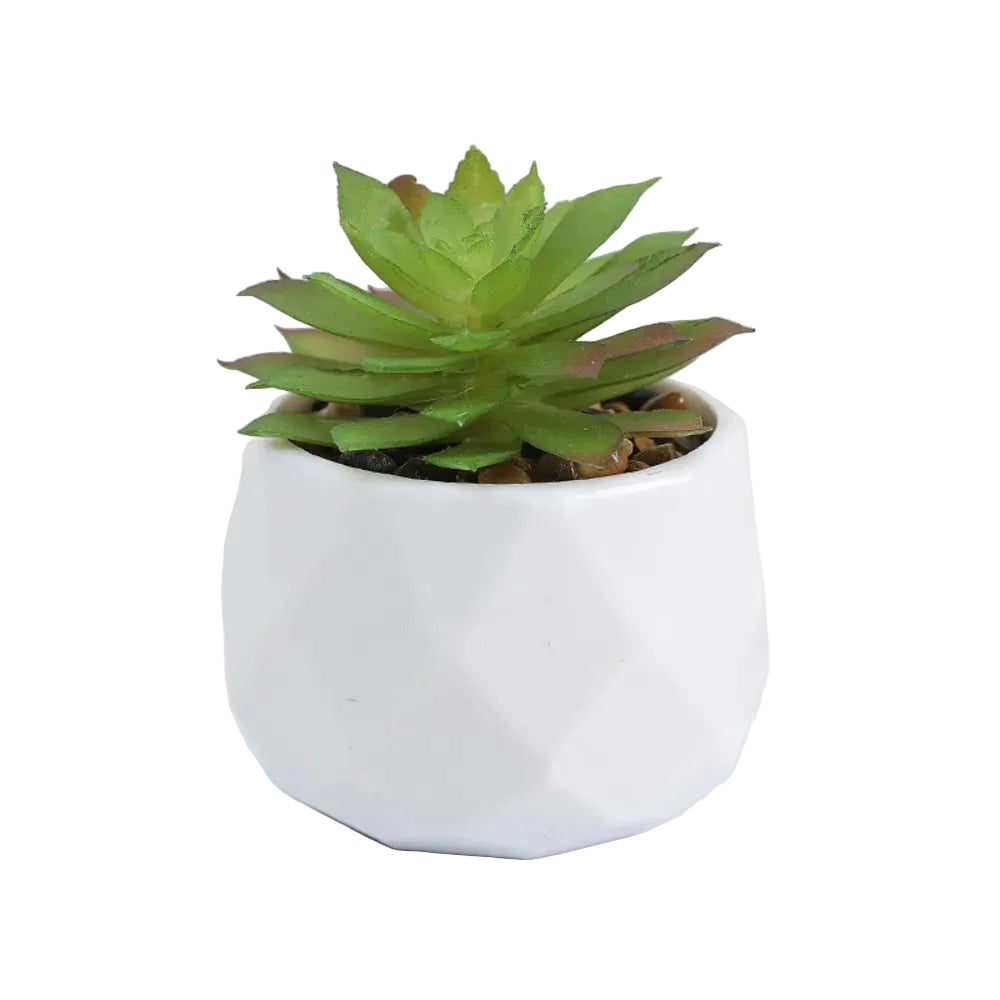 Mini-Succulente Artificielle