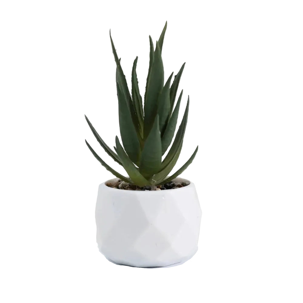 Mini-Succulente Artificielle