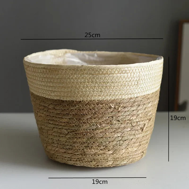 Natural woven basket planter with dimensions 25cm wide and 19cm tall, ideal for indoor plants
