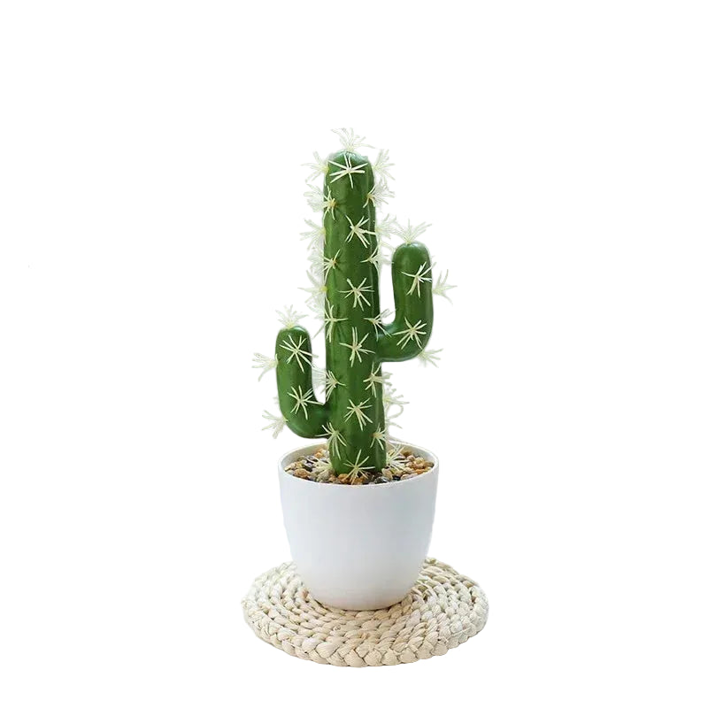 Cactus Artificiel de Table