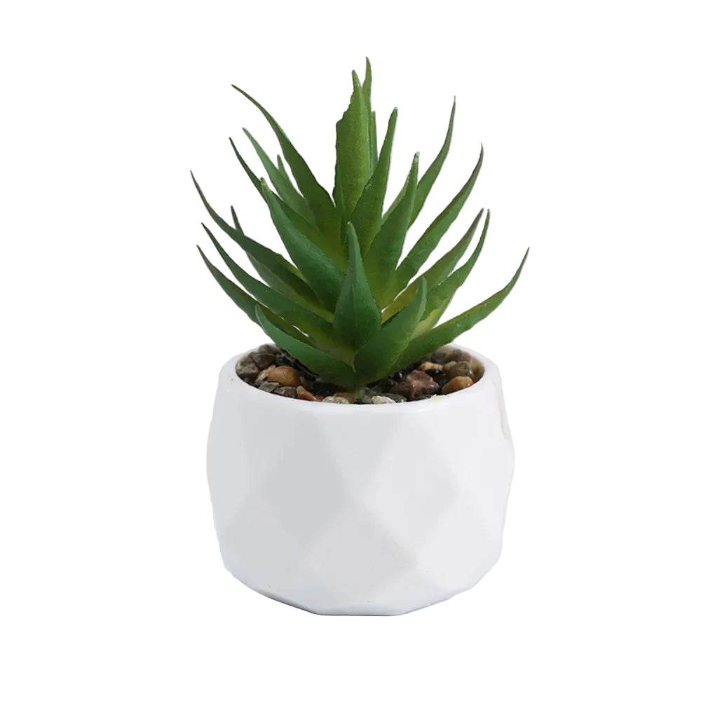 Mini-Succulente Artificielle