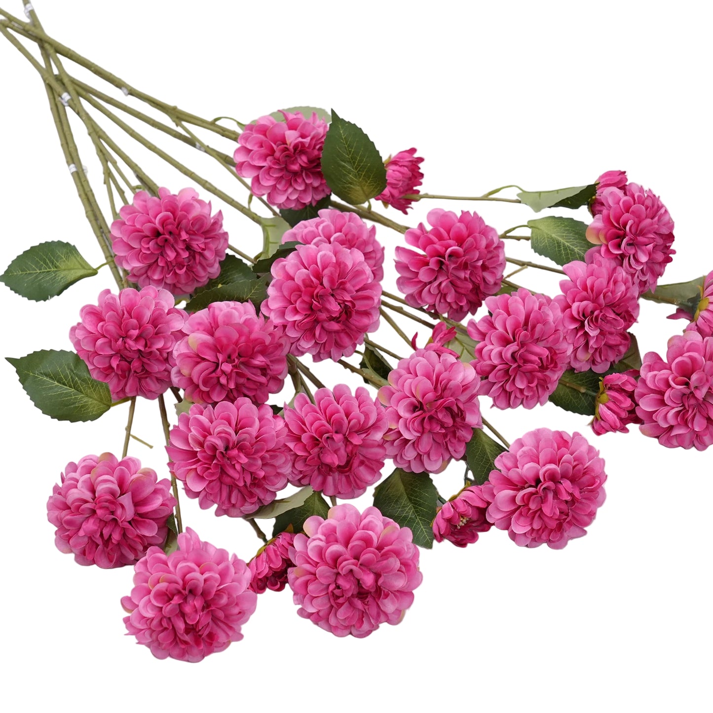 Tige de Dahlia/Chrysanthème Pompon