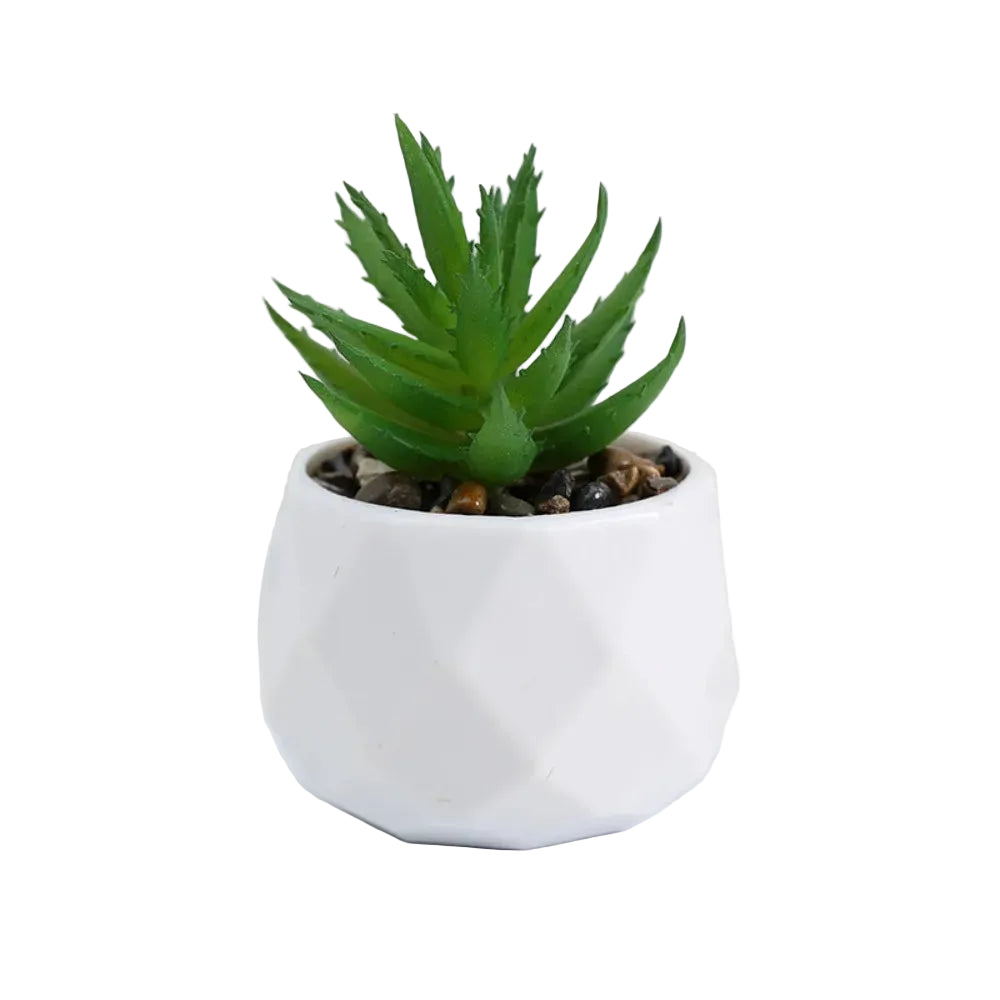 Mini-Succulente Artificielle