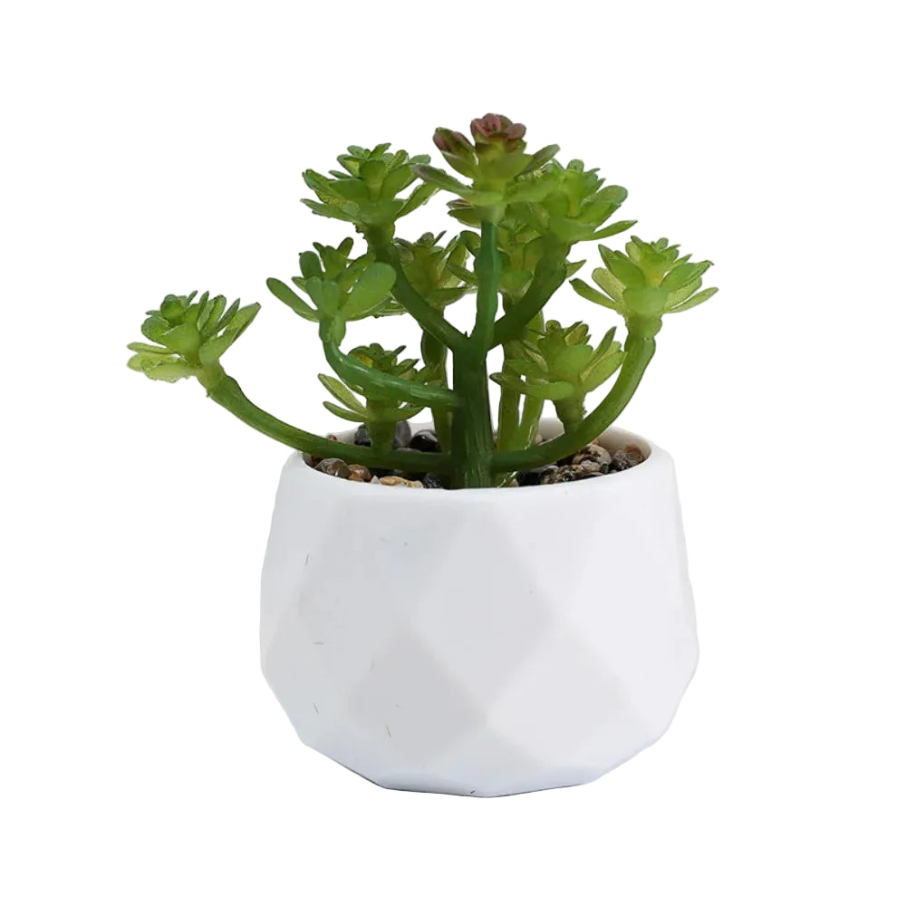 Mini-Succulente Artificielle