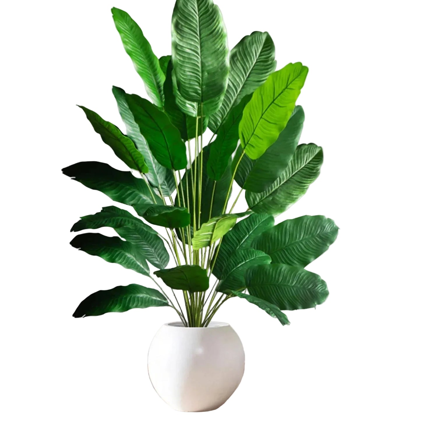 Strelitzia Artificielle