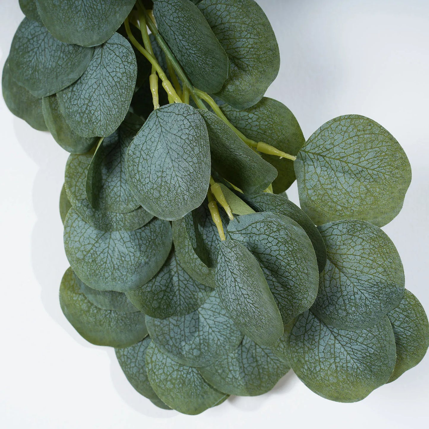 Guirlande d'Eucalyptus à Feuilles Rondes