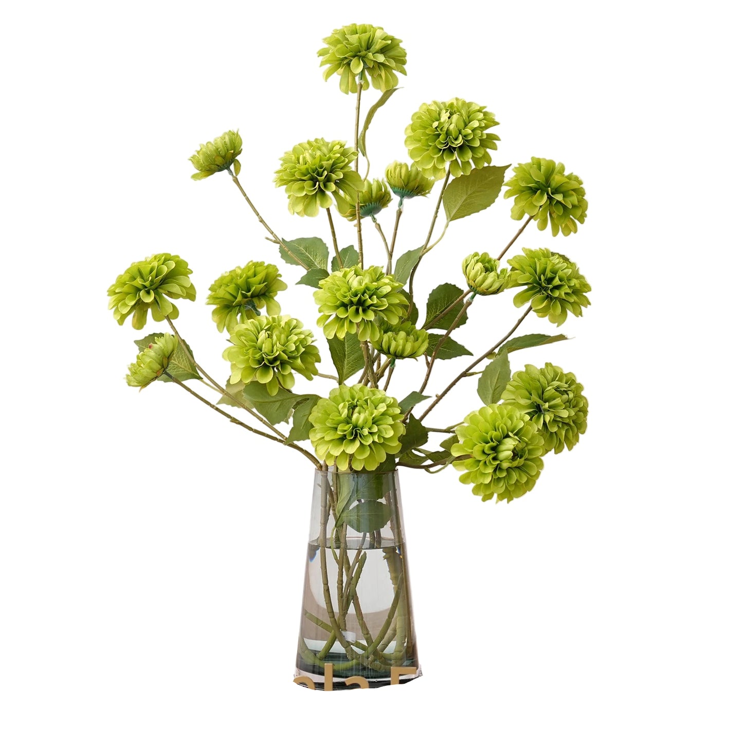 Tige de Dahlia/Chrysanthème Pompon