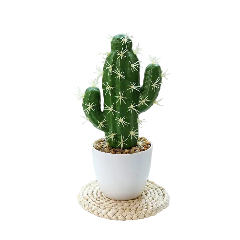 Cactus Artificiel de Table