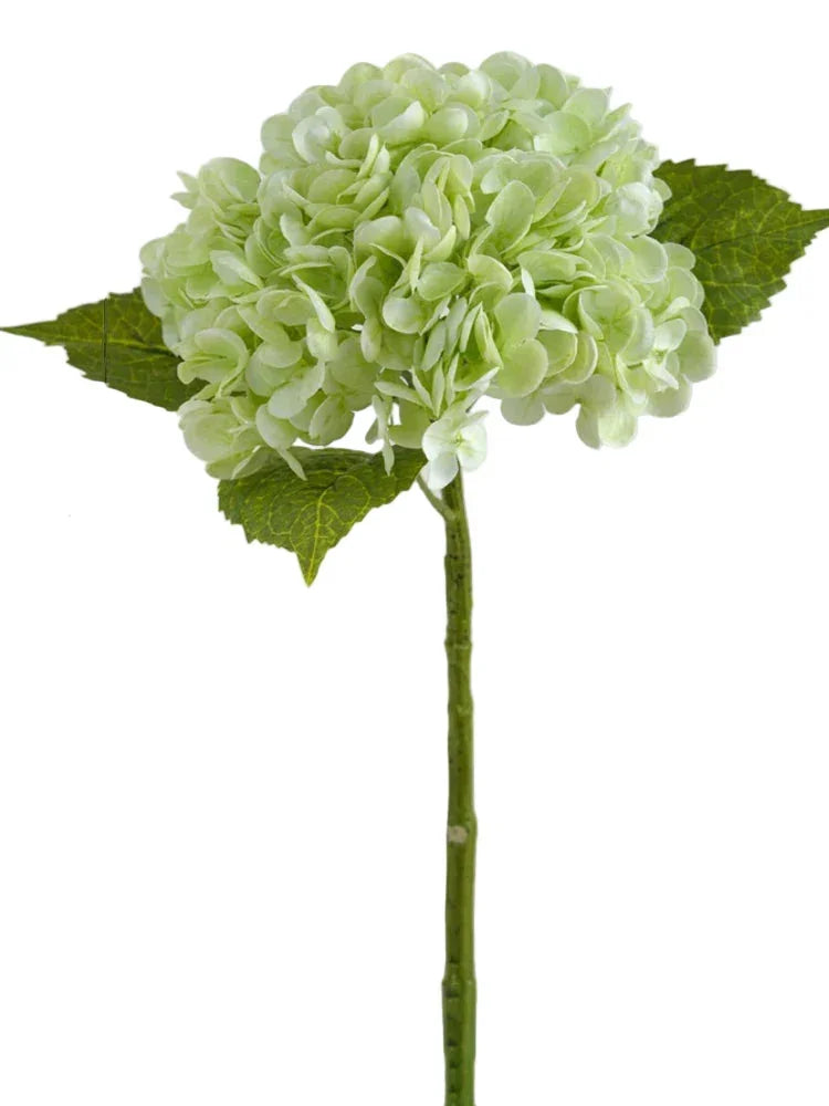 Artificial green hydrangea flower stem with lifelike leaves on white background