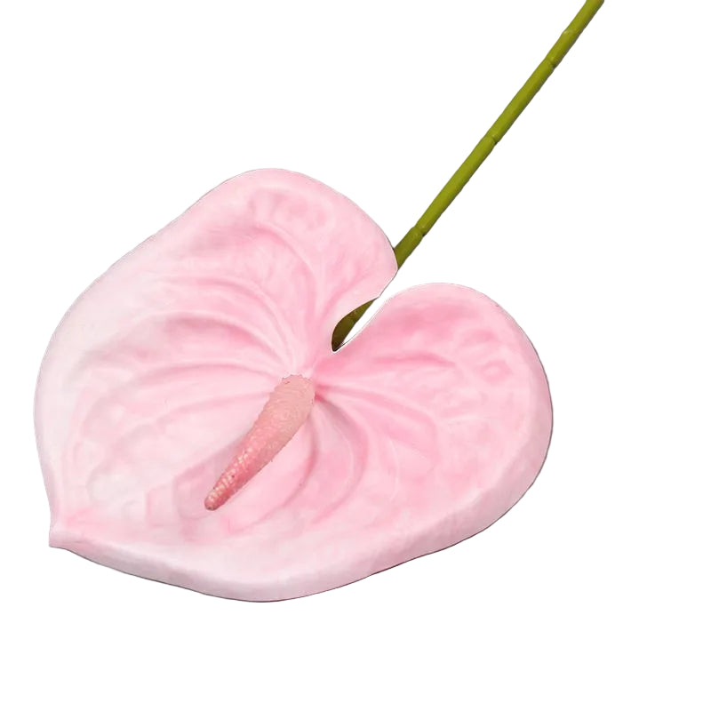Anthurium Artificiel Réaliste